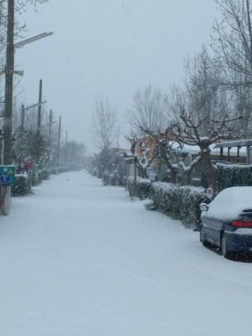 Neige à la Jasse 28 février 2018